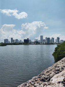 Homepage Colombia Vibe