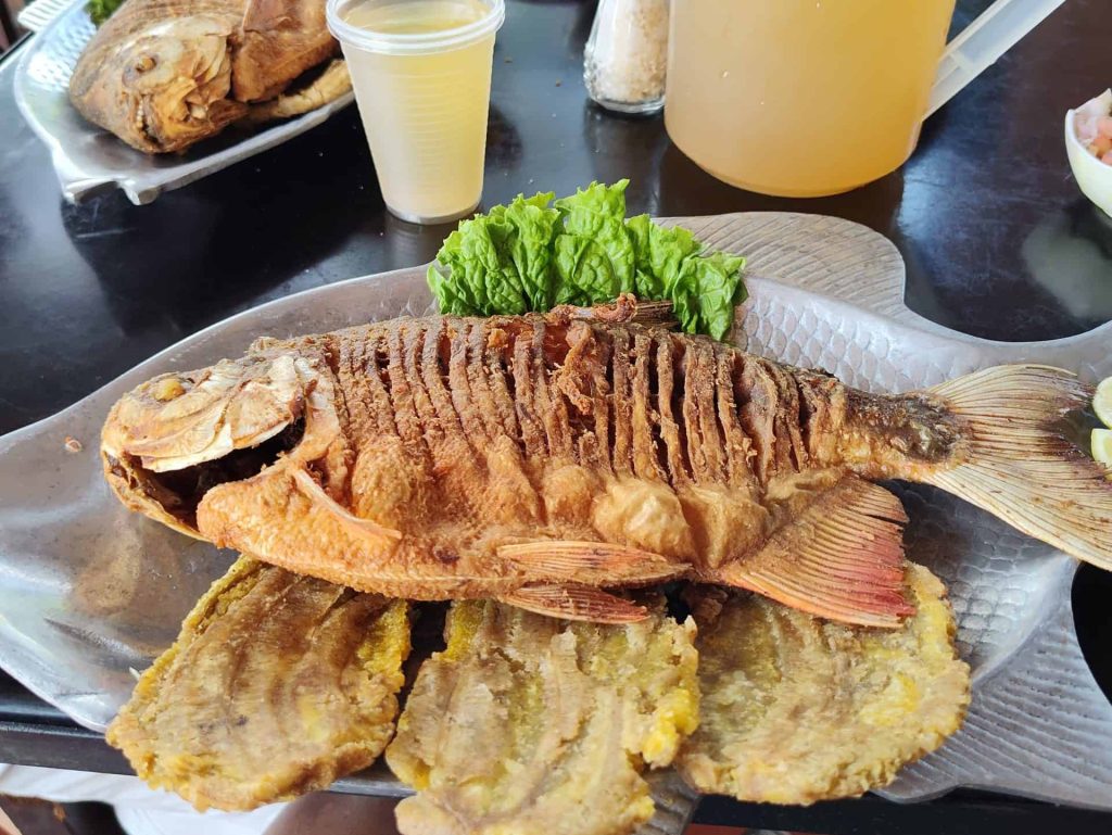 10 Traditional Colombian Foods Every Visitor Should Try