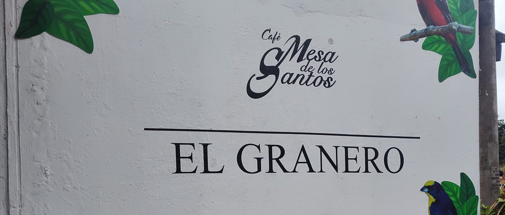 Mesa de los Santos Coffee: Discovering Hacienda El Roble