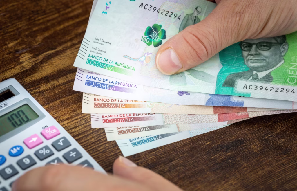 Monthly budget calculator Colombia